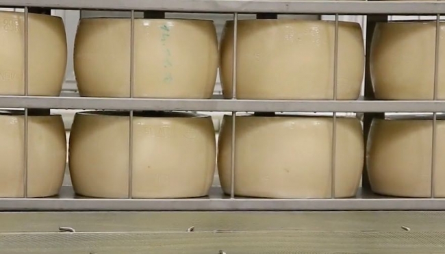 Lattiero Caseario: Burro e latte in forte ascesa