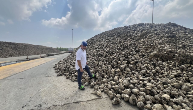 Campagna bieticola 2024, Coprob-Italia Zuccheri: stagione pesantemente influenzata dai fenomeni climatici estremi