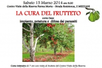 Mezzani - &quot;La cura del frutteto&quot; corso base di impianto, potatura e difesa dai parassiti