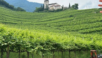 Cantine Oberrstain Joachim Wolf