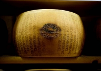 Parmigiano Reggiano. Cia di Reggio: sui piani produttivi si poteva fare di più