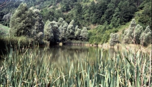 Giornata mondiale dell&#039;acqua. Paesaggi mozzafiato dell&#039;Emilia Romagna dove l&#039;acqua, con la sua bellezza e la sua forza, è regina incontrastata.