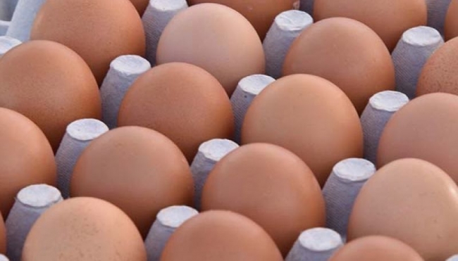 Uova fresche, allerta del ministero della salute per la salmonella -  i lotti