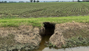 Emergenza nutrie e animali fossori: a San Secondo una tana di oltre 50 metri che costerà  60 mila euro