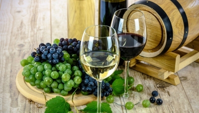 Parma - Dai sensi al Bon Ton: questa sera Master sul vino promosso da ARGA