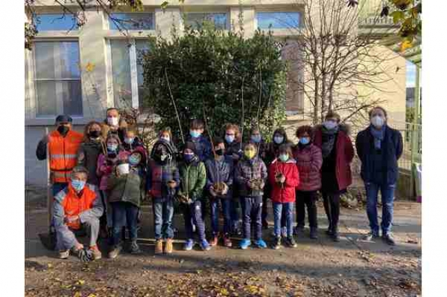 Festa dell’albero: 3 nuove querce leccio nel giardino della scuola di Torrile