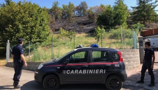 Elimina residui vegetali con il fuoco e causa un incendio