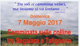 Camminata tra le colline di Segalara e Talignano (PR)