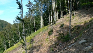 Il volto sfigurato della montagna