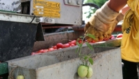 OI Pomodoro Nord Italia: rispettata la programmazione per la campagna 2014