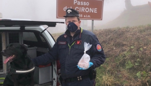 Passo del Cirone, attenzione ai bocconi avvelenati