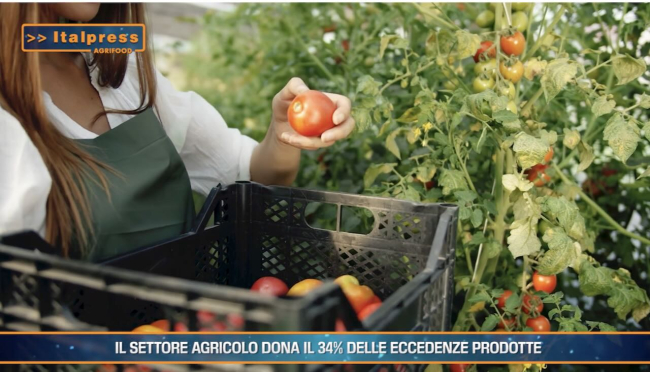 TG AGRIFOOD del 30 ottobre -  Il settore agricolo dona il 34% delle eccedenze prodotte … - (Video)