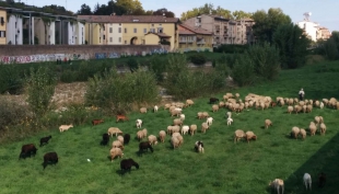 Le foto curiose: dal nostro lettore Giovanni