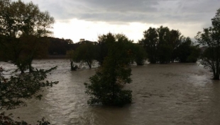 Parma - Lettera di un alluvionato al Sindaco