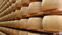 Parmigiano Reggiano in magazzino