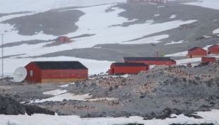 Caldo record in Antartide