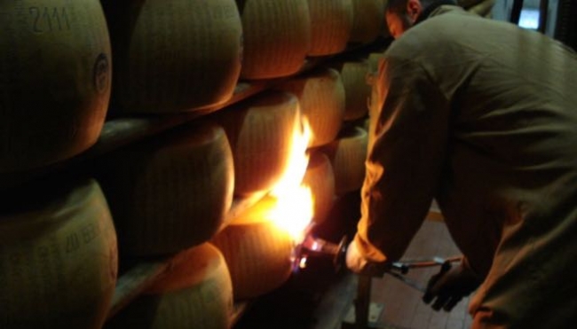 Marchiatura a fuoco di una forma tipica di Parmigiano Reggiano