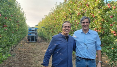 Robot &quot;volanti&quot; raccolgono le mele in Cile