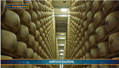 TG AGRIFOOD del 4 dicembre - Agromafie, irregolare il 30% del lavoro in agricoltura (Video)