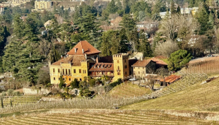 Reportage tra Vignaioli e Cantine del Burgraviato