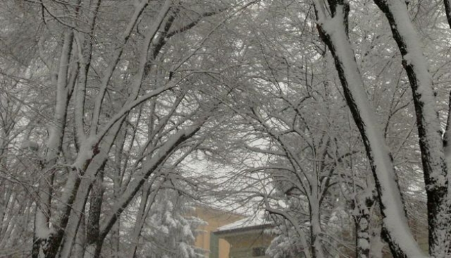 Maltempo, torna la neve su tutta l&#039;Emilia-Romagna: domani attesi 10-20 cm in pianura
