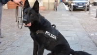 L&#039;intensa attività di controllo da parte della Polizia di Stato ha condotto a importanti risultati