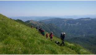 Trekking sulle note di un violino, escursione sotto la luna piena, camminate tra vette e castelli