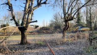 Area Ex Cral Bormioli. Alcune semplici ma naturali domande agli assessori.