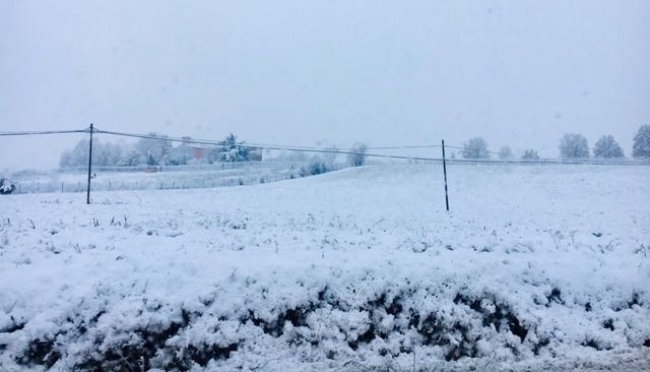 Foto da Castelvetro di Modena... con neve questa mattina