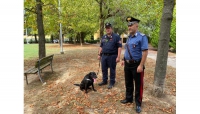 Ritrovamento di alcune esche mortali all'interno di un parco da parte del Comando Provinciale Carabinieri Bologna