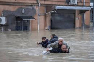 Alluvioni in Emilia Romagna. Gli animalisti lanciano l&#039;allarme: non è maltempo, è emergenza climatica