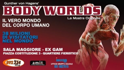 A Bologna la scoperta del corpo umano con &quot;Body Worlds&quot;