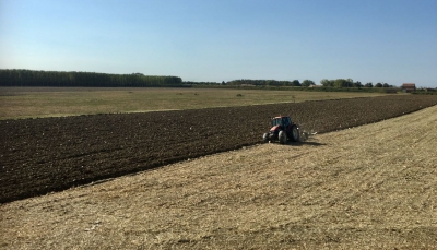 Agricoltura. Riparto risorse sviluppo rurale 2020-2021, l&#039;Emilia-Romagna sostiene la proposta del ministero Politiche agricole e alimentari.