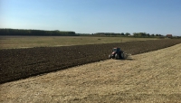 Agricoltura. Riparto risorse sviluppo rurale 2020-2021, l'Emilia-Romagna sostiene la proposta del ministero Politiche agricole e alimentari.