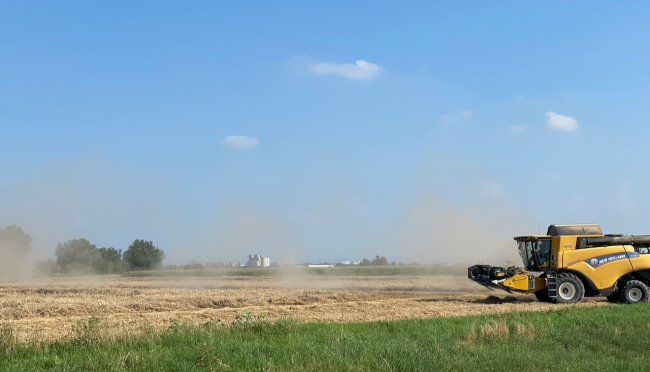 “Cereali e dintorni”. Le quotazioni 2025 della farina di soia