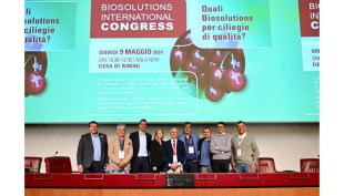 Ciliegie: in Italia in 50 anni dimezzate le rese produttive