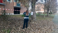 Bocconi sospetti nel parchetto di Ganaceto: attenzione