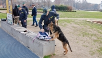 I controlli al Parco Novi Sad di Modena