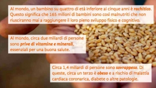 Giornata Mondiale dell’ Alimentazione: più consapevolezza sulla fame nel mondo