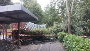 Un albero ha abbattuto una tettoia per le bici presso il centro sociale Buco Magico