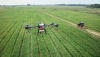 Agricoltura, Manca (M5S): ulteriori fondi per uso tecnologie innovative come droni e blockchain