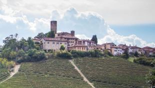 Barolo, un vino, un territorio