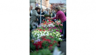 Salotto in fiore a Maranello