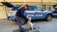 Polizia di Stato: Controlli straordinari antidroga Parco Ducale e Via Boraschi Sequestrati quattro kg di droga