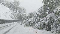 La nevicata del 5 maggio 2019 - Frazione di Vezzano nel Comune di Neviano degli Arduini