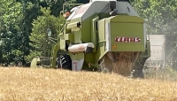 Cereali e dintorni. L’uragano Ida rallenta i mercati, ma per poco.