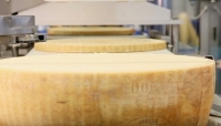 Lattiero caseari. Grana Padano in leggera ripresa