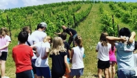 La natura che cura, minifestival del lavoro e della salute mentale