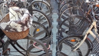 Minorenni rubano una bici e la mettono in vendita su internet. Presi dai carabinieri.