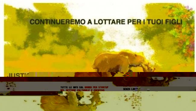 Parma - Domani una fiaccolata per l&#039;orsa Daniza